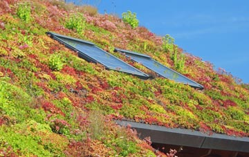 Maisemore living roof systems