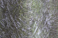 Maisemore fibreglass roof work